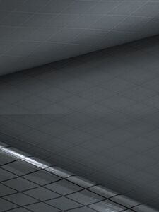 X-Pac X21 RC, backpack-laminate, 150g/sqm